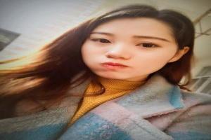 伽勒尔的样子急冻鸟