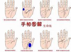 手臂部位名称图解大全
