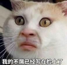 舒服惬意表情包