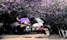 宜人造句