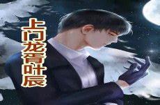 上门婿叶辰