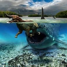 海洋生物史前
