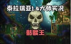 泰拉瑞亚王魂
