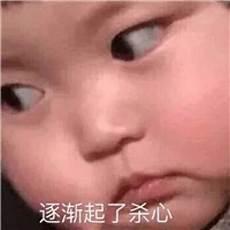 可爱的动物笑话