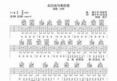 白月光这首歌的含义