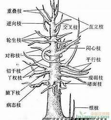 2除二分之一等于多少