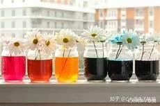 彩虹的形成作文400字
